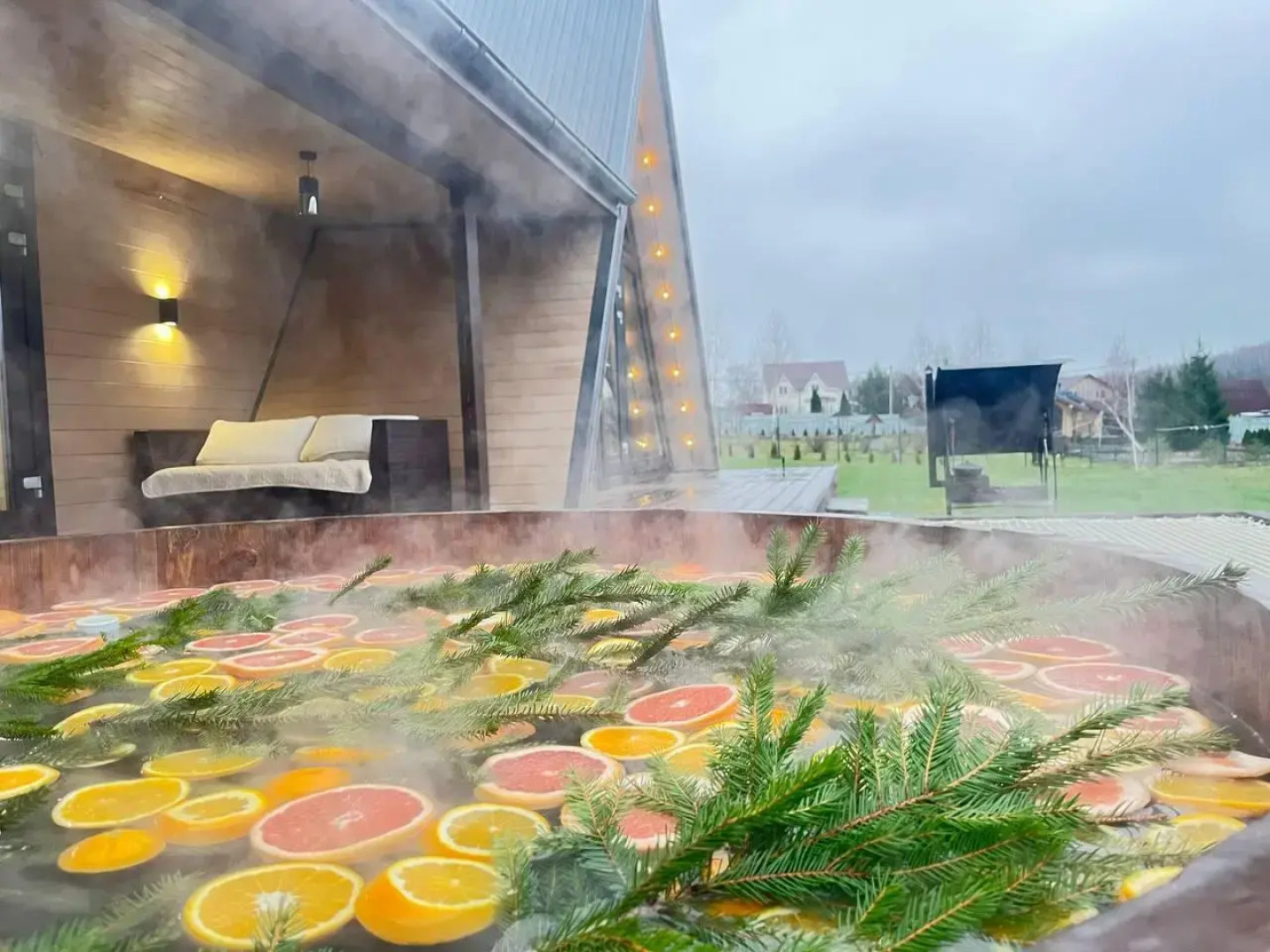 ДНТ Сосновый берег 1