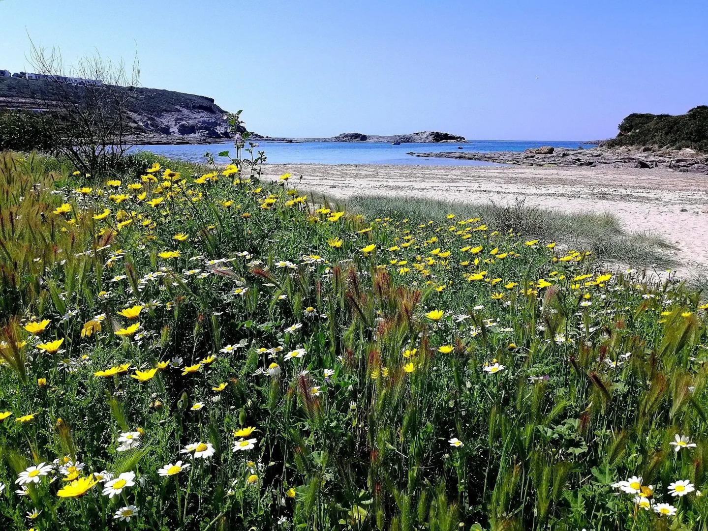 Agriturismo Erbe Matte