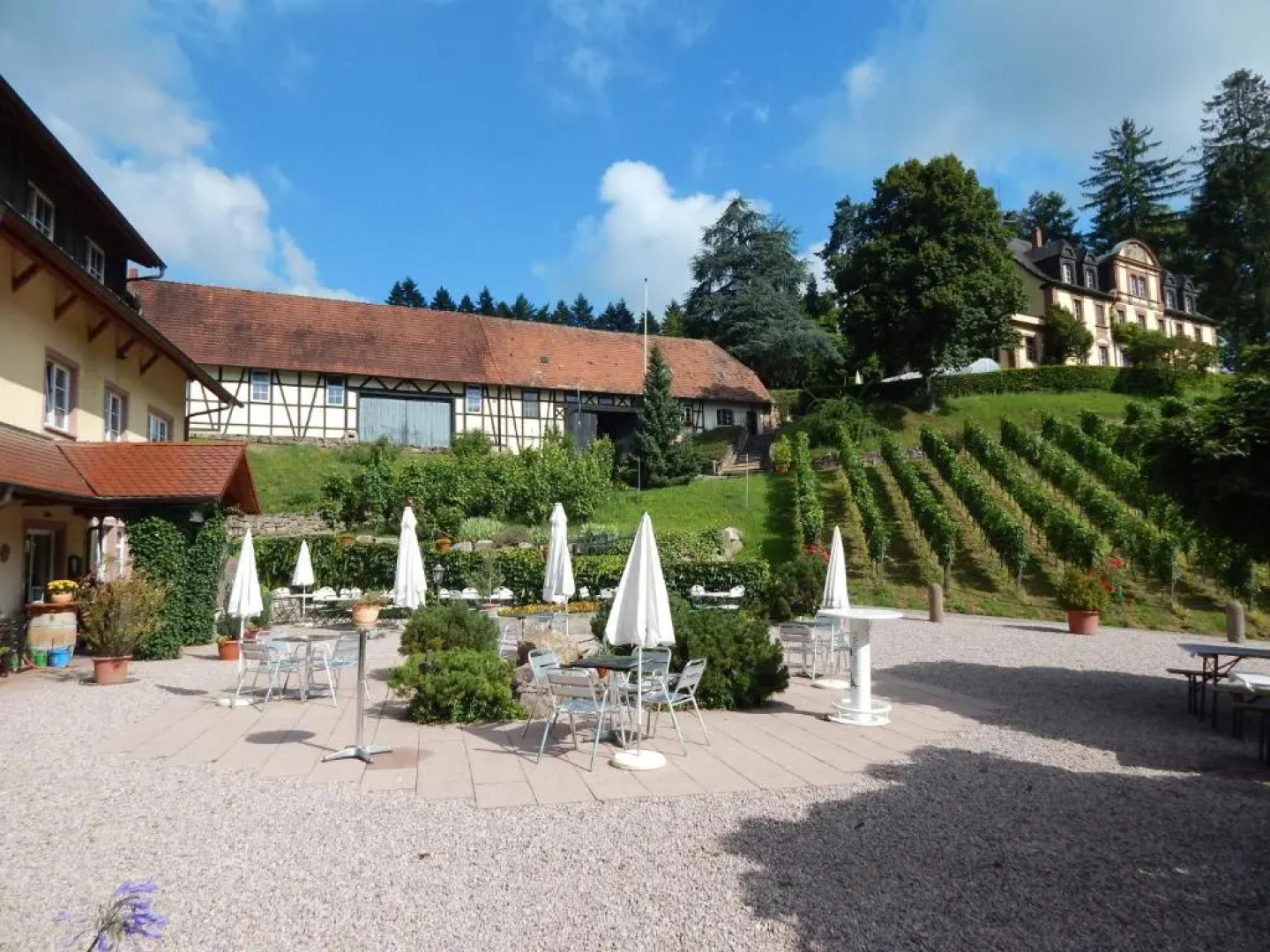 Wein Lodge Durbach - Josephsberg 2
