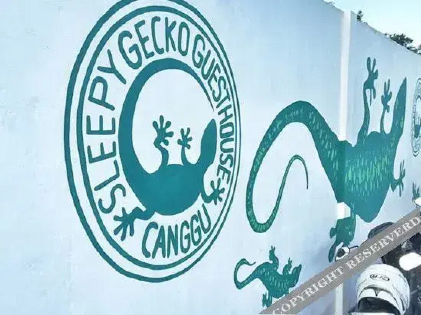 Sleepy Gecko Guesthouse