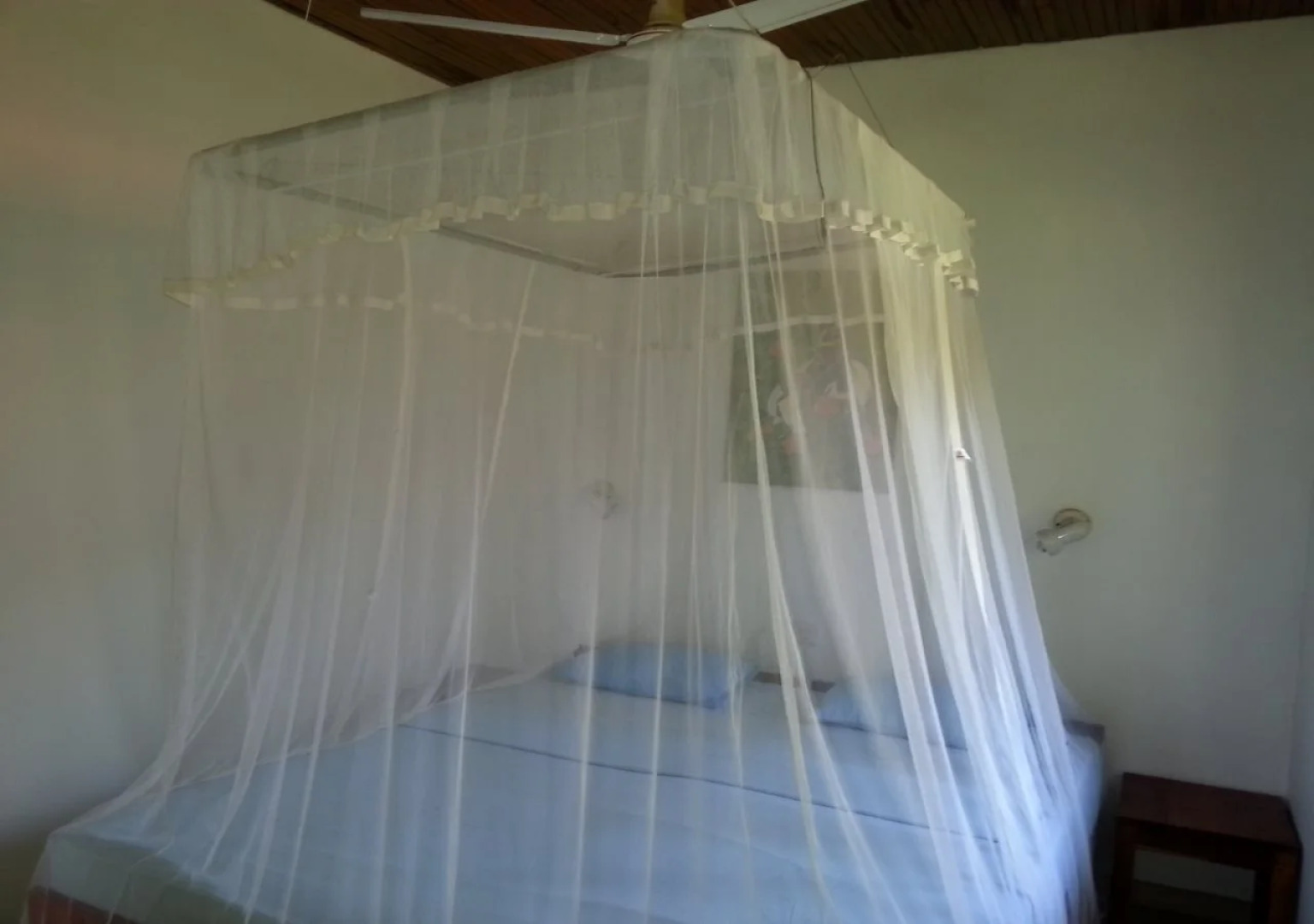 Rocky Point Beach Bungalows