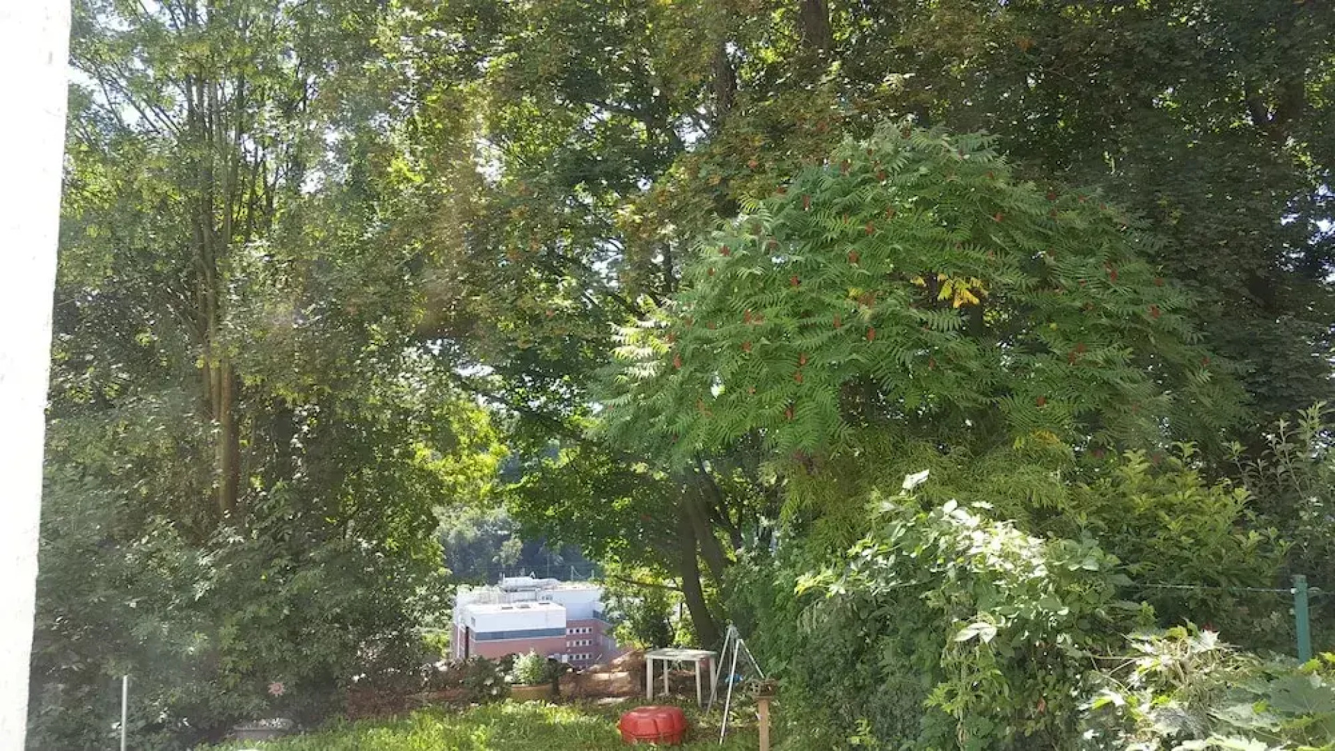 Apartment am Nützenberg