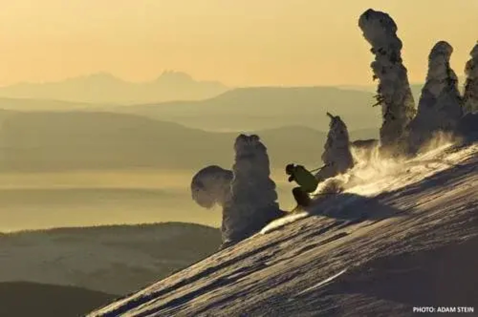 Woodhaven by Bear Country