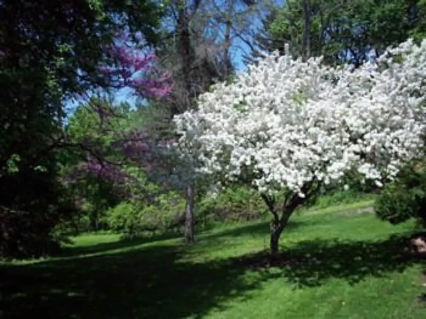 Temple Hill Bed & Breakfast