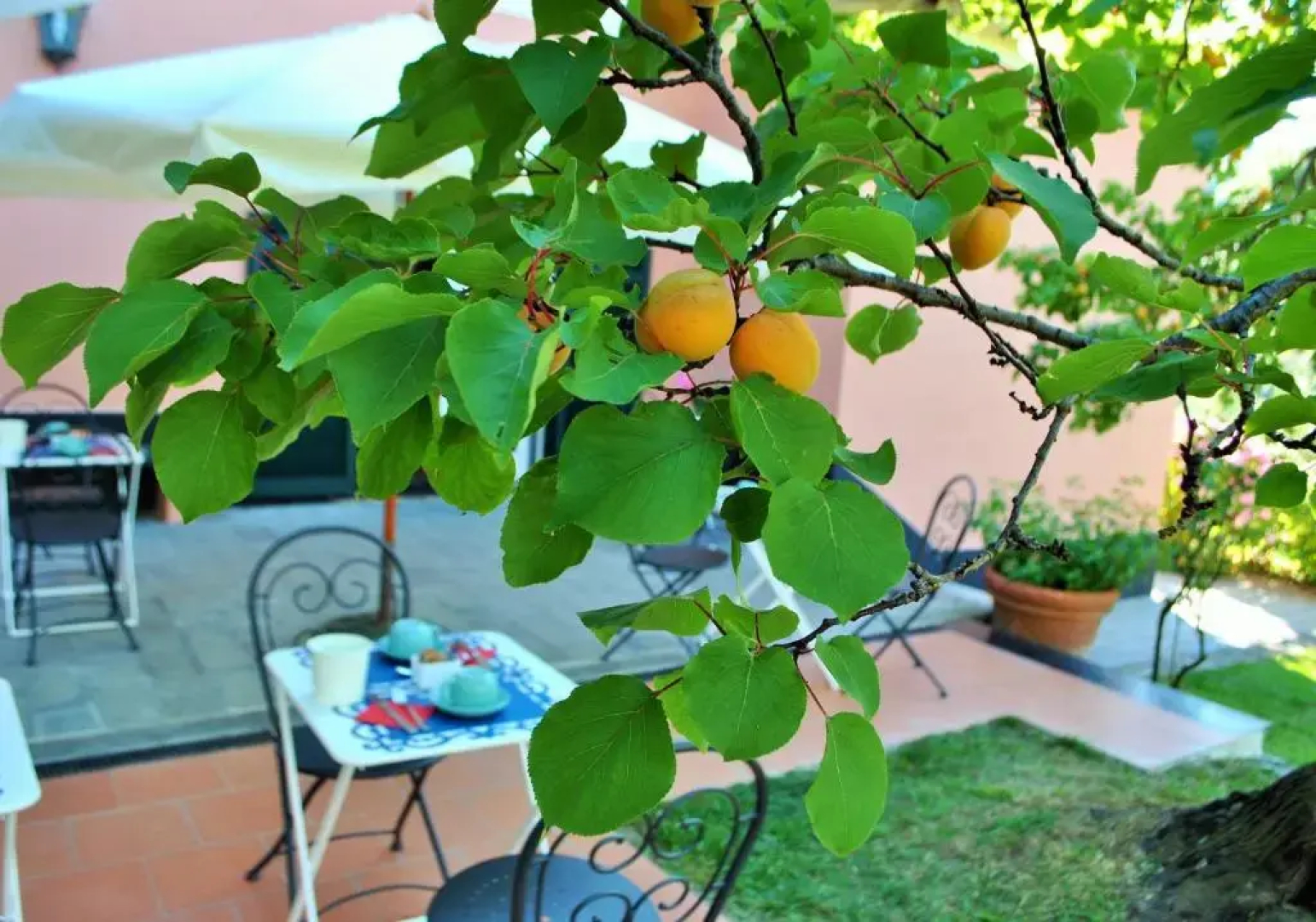 L'Amandola Villa - Agriturismo