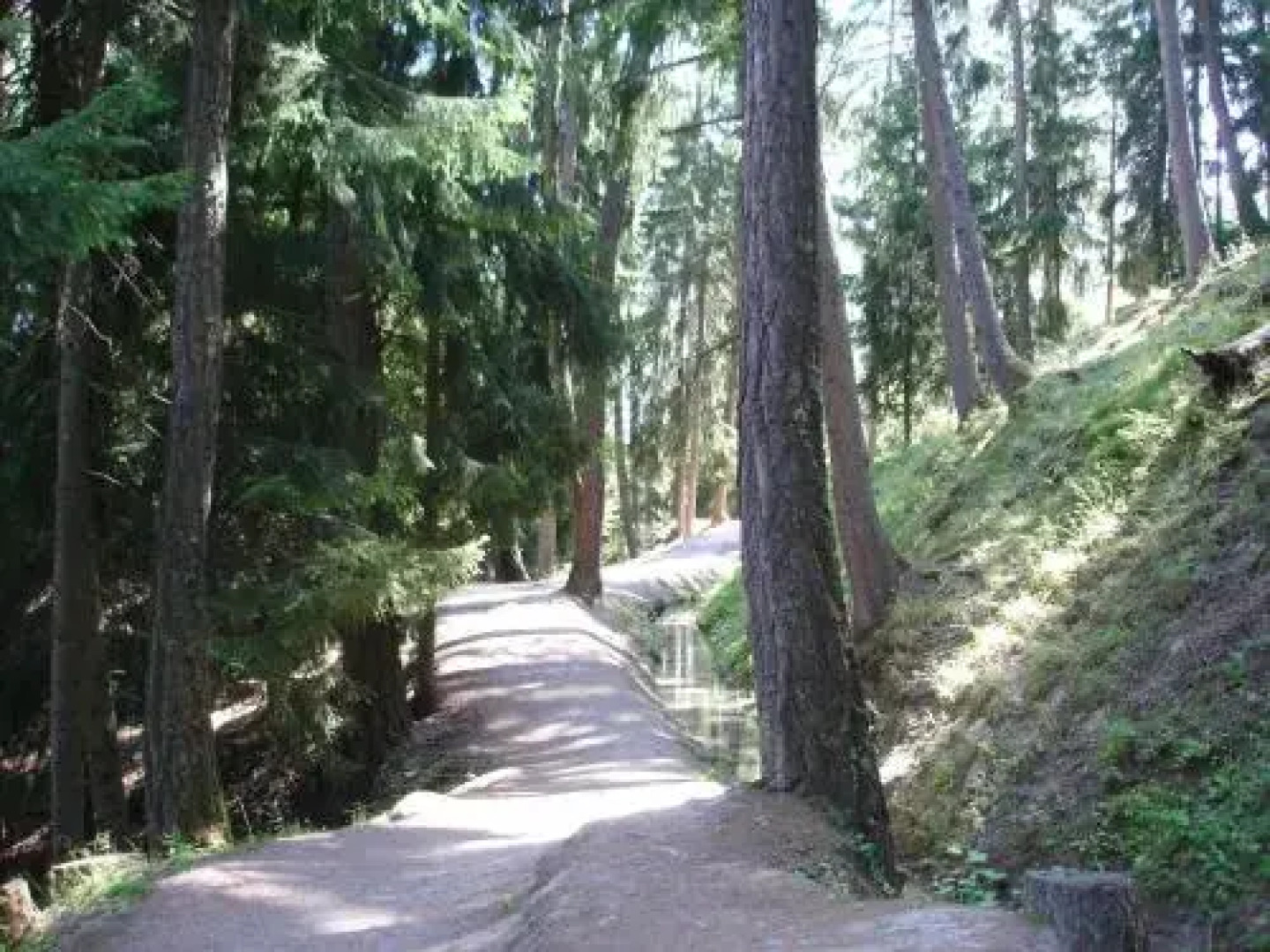 Gentianes COSY & MOUNTAIN apartments