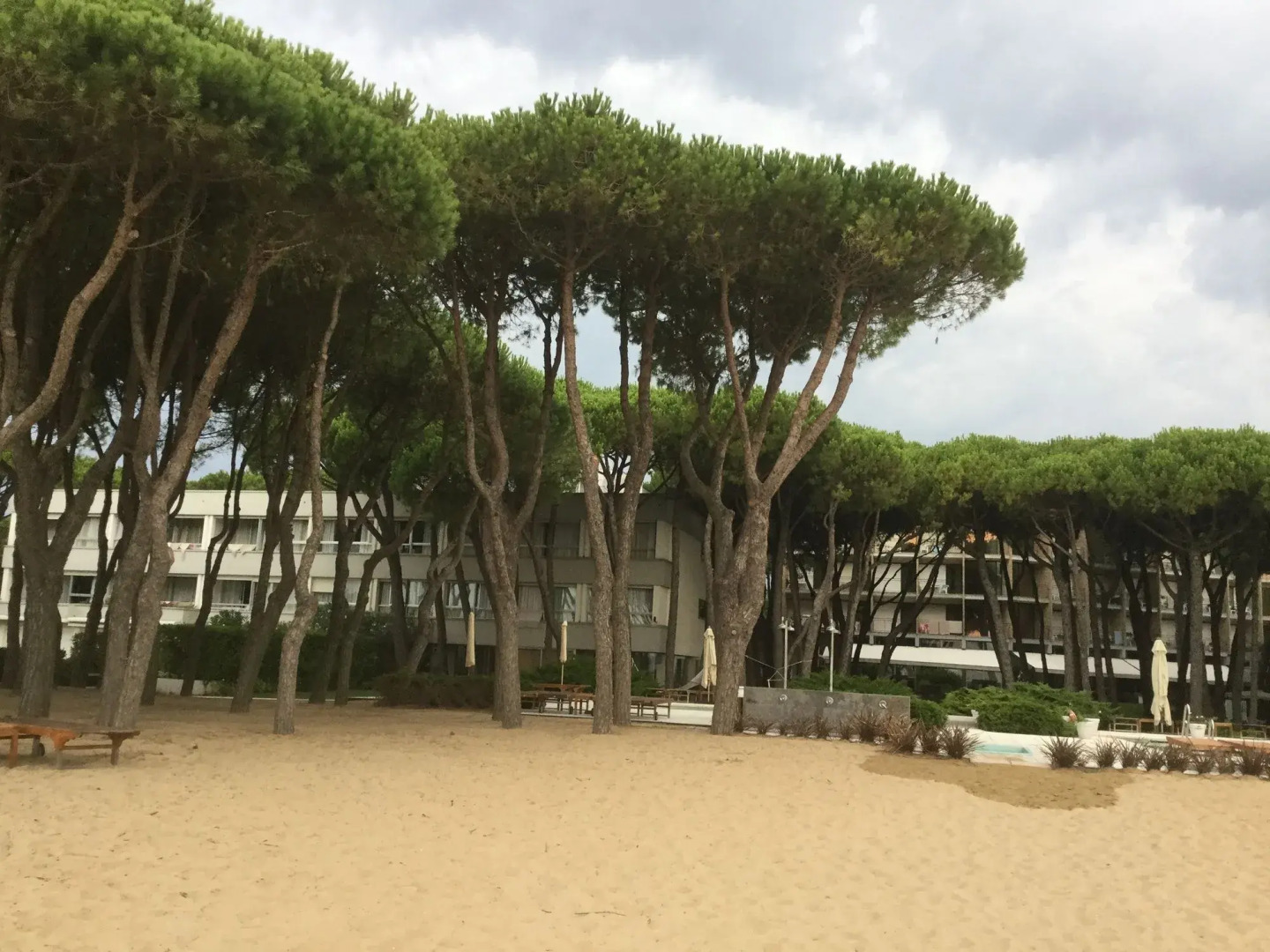 Bellevue Hotel & Resort