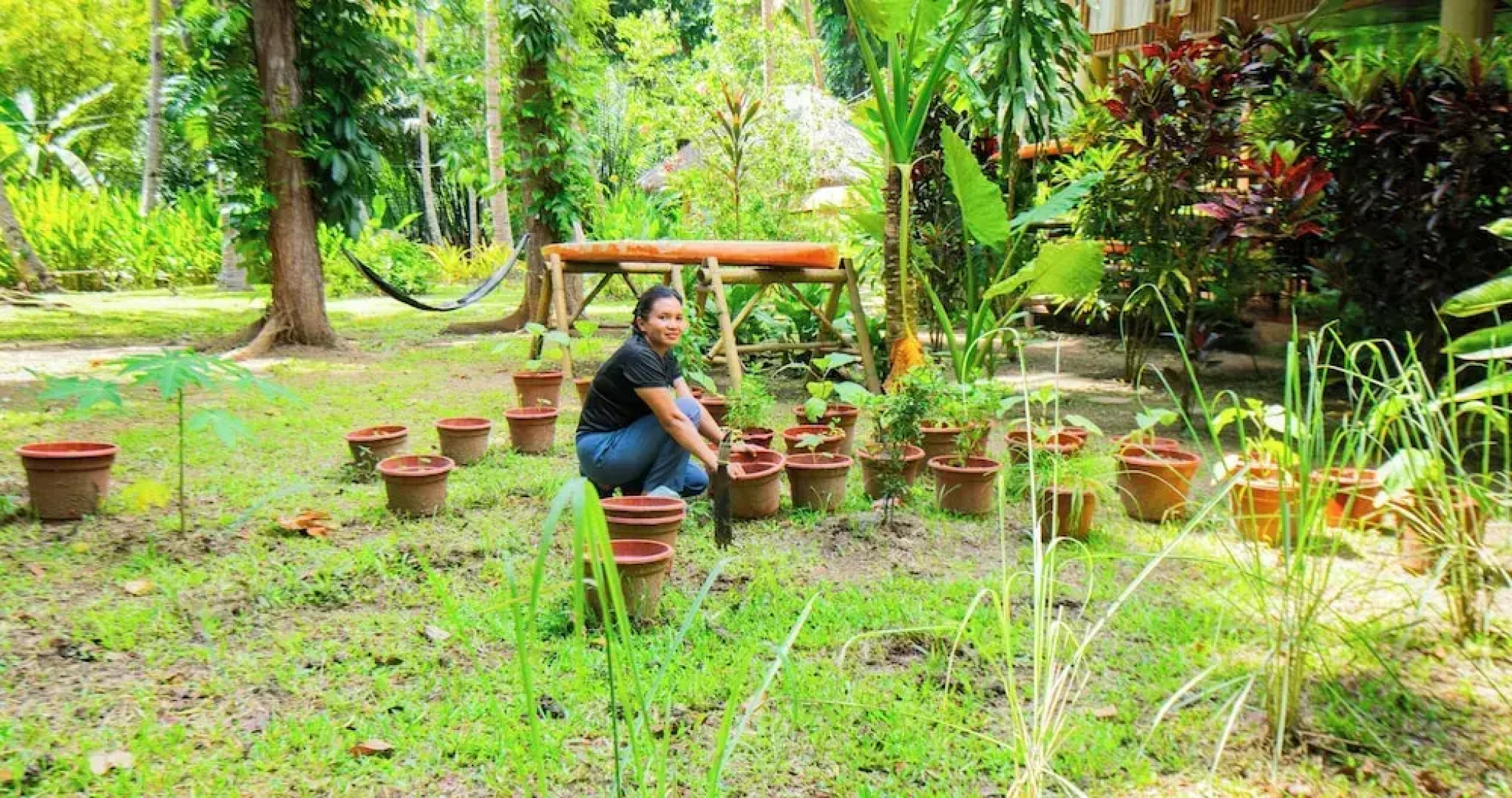 Water To Forest Ecolodge