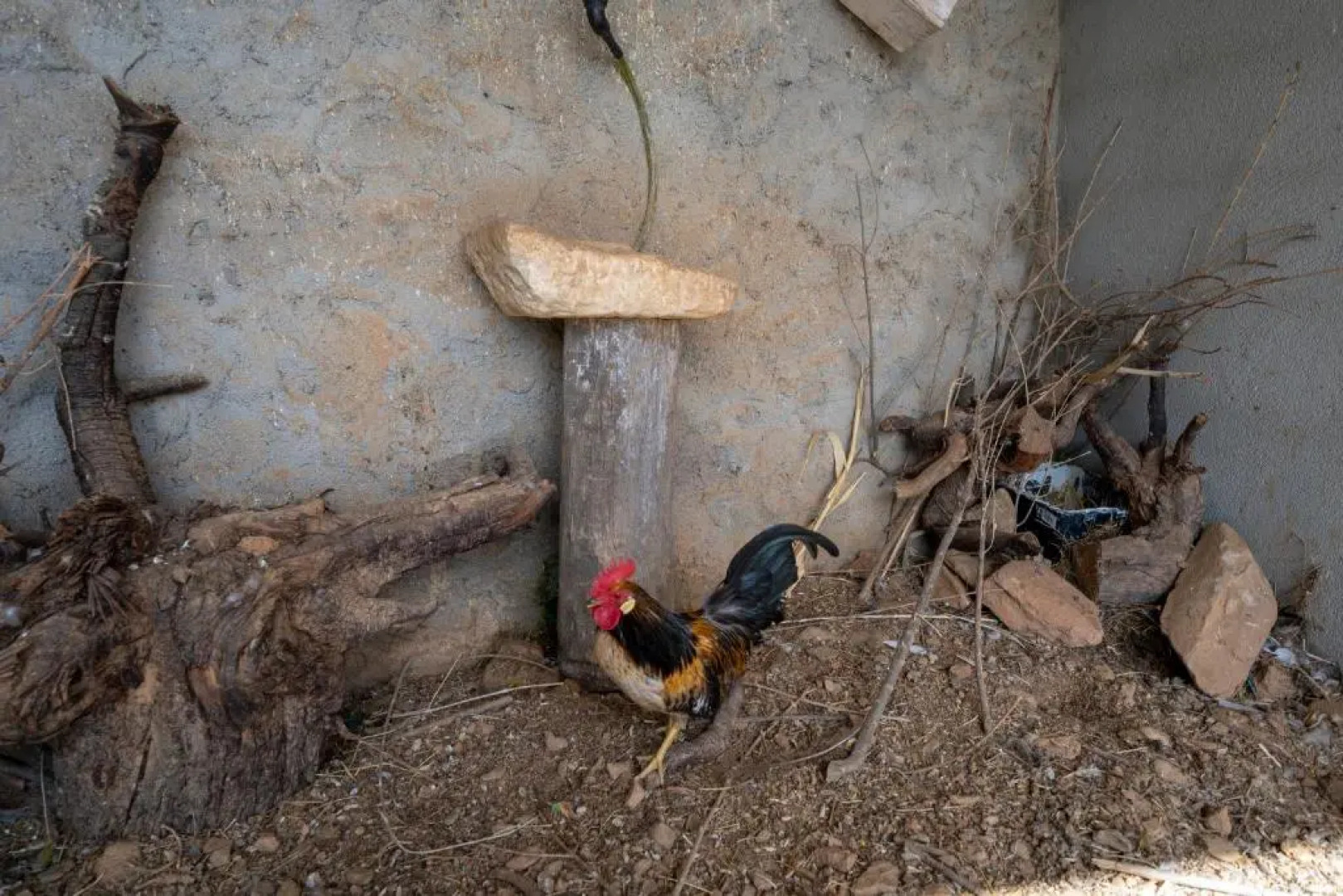 Reul Alto Cortijos Rurales