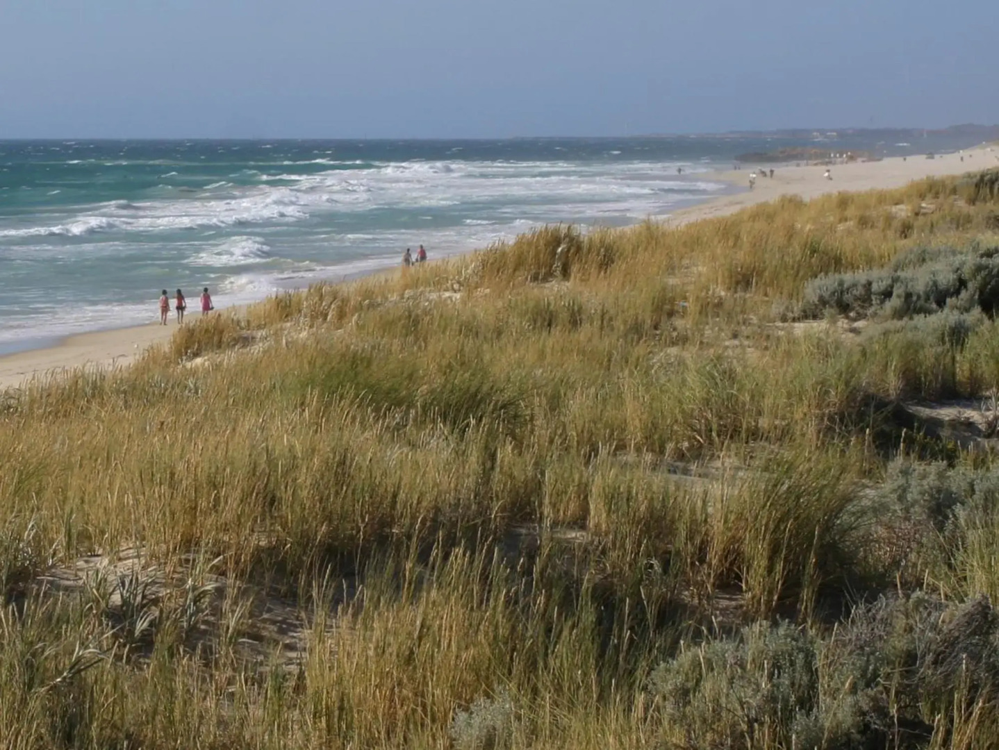 Scarborough & Absolutely Beachfront