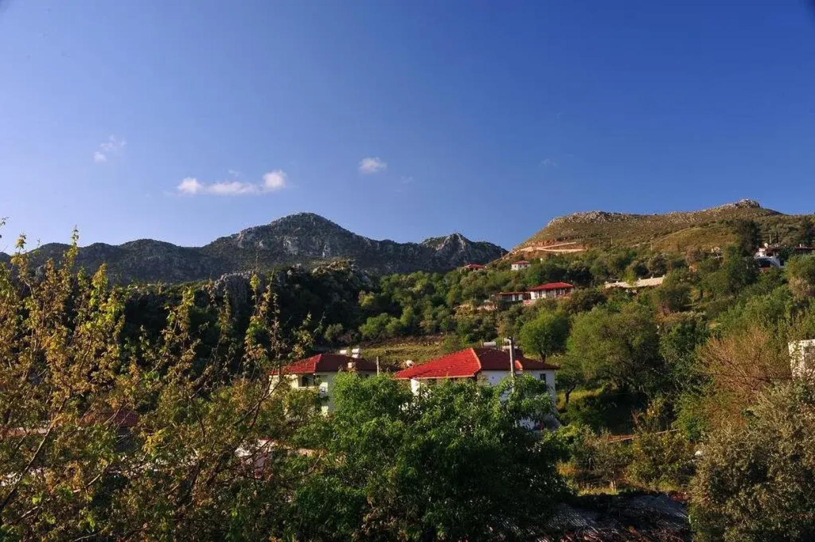 Adasu Pansiyon