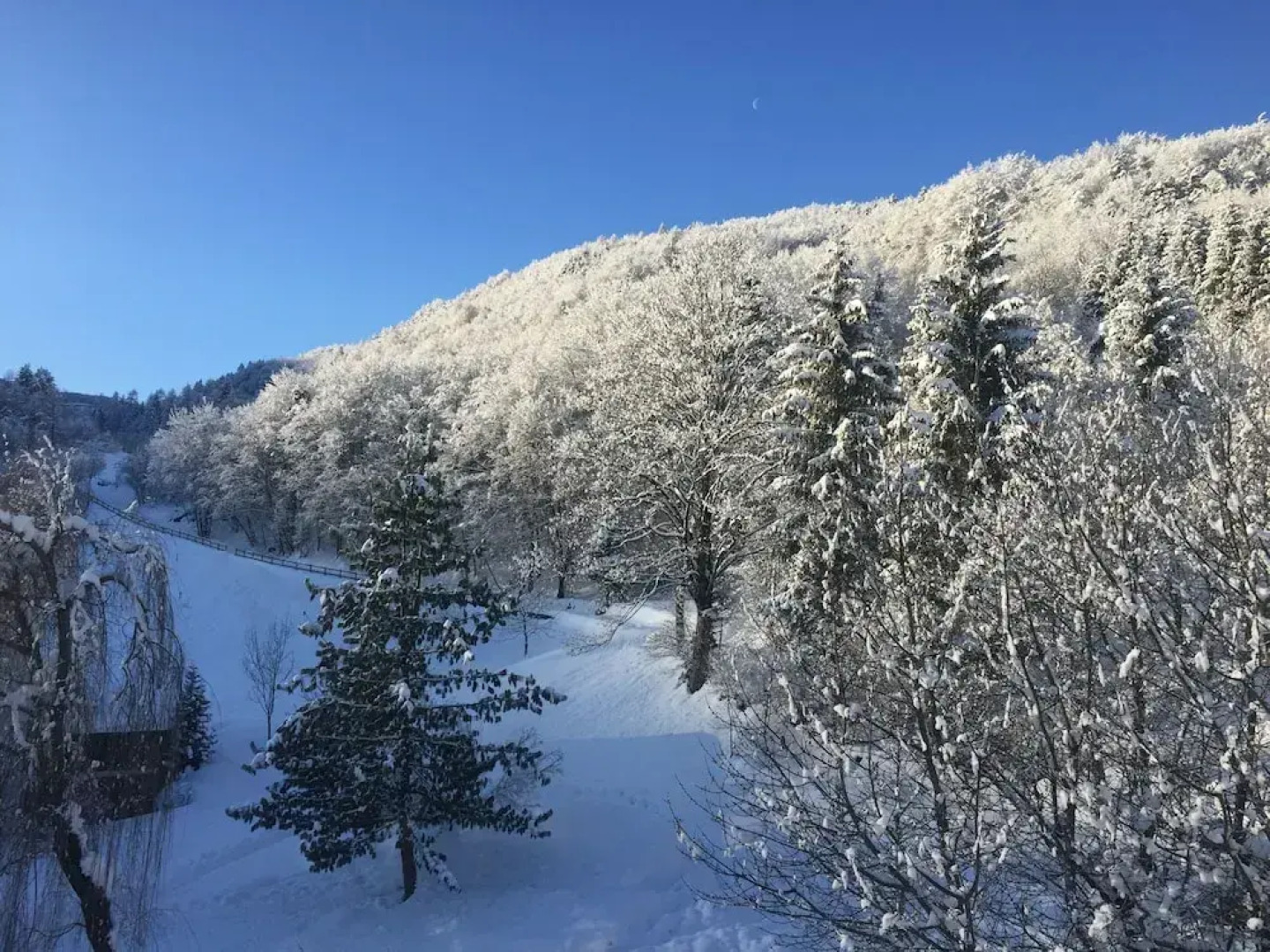 CasaDalsass DolomitiPaganellaLagoMolveno