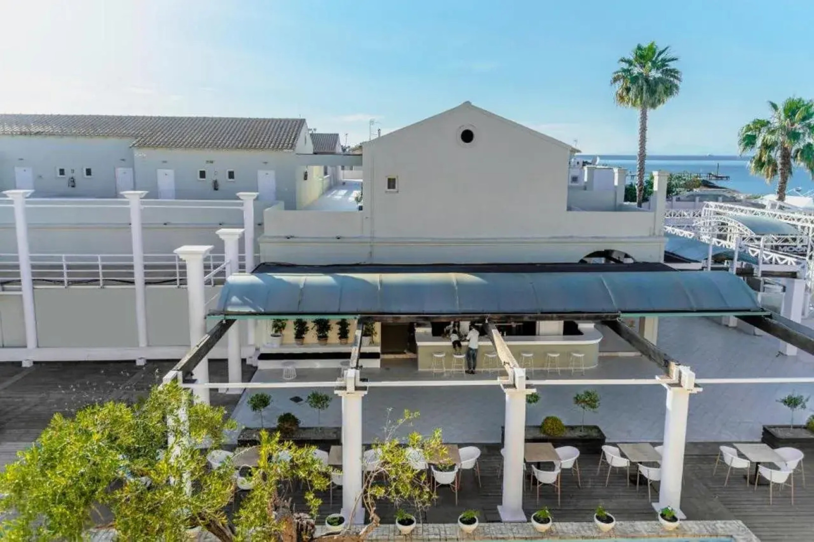 Olive Grove Beachfront Apartments & Suites