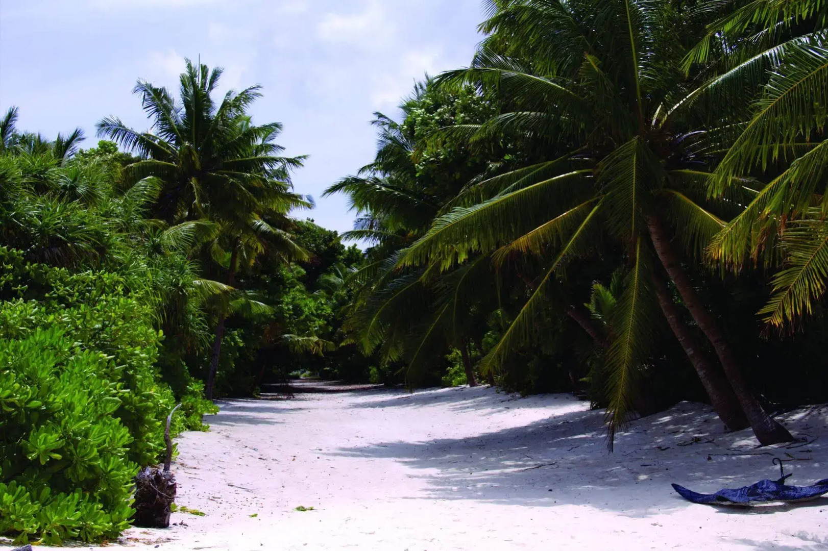 Hibaru Fishing Lodge