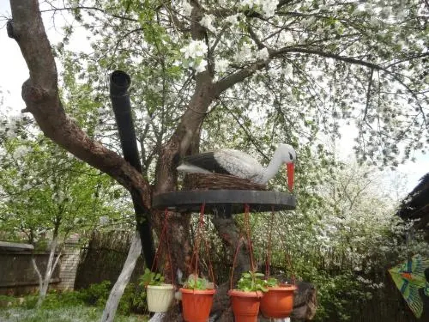 Гостевой дом Суздаль - Терем