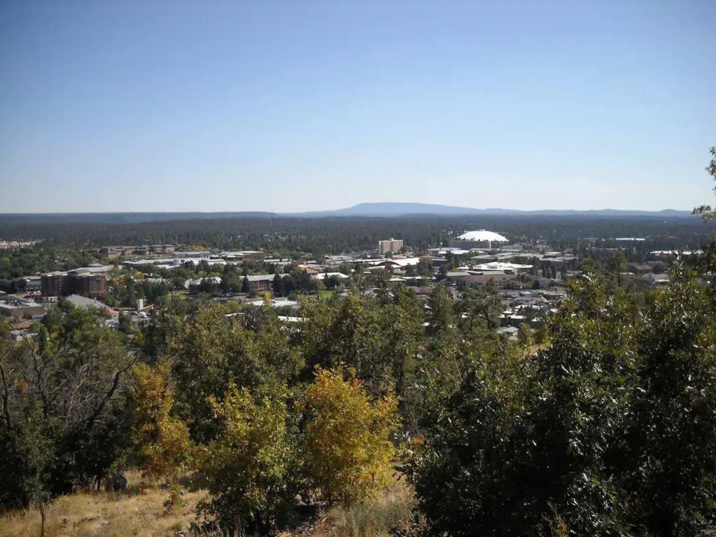 Hampton Inn & Suites Flagstaff