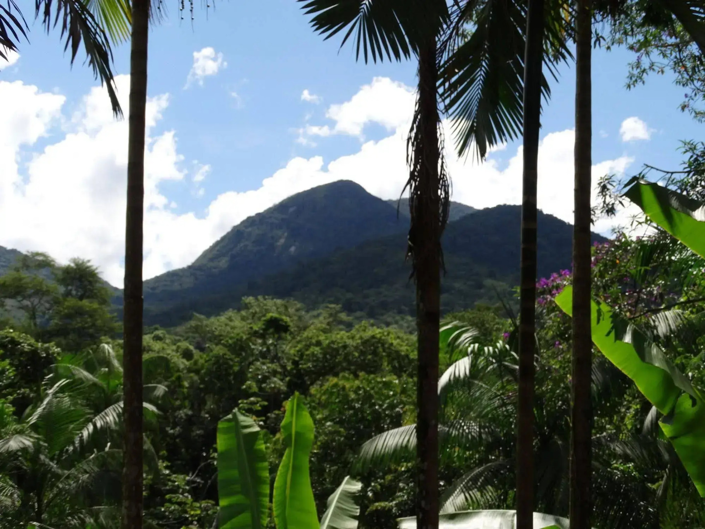 Chalé Vale das Flores