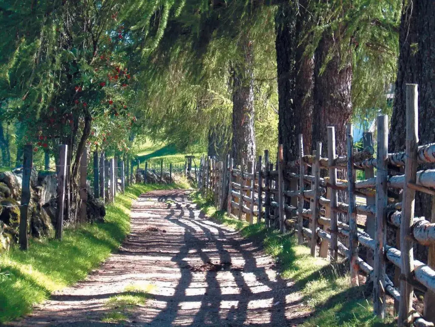 Berghütte Sommerstall