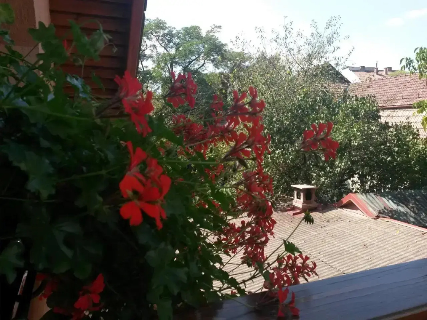 Pensiunea Lőrincz *** Panzió