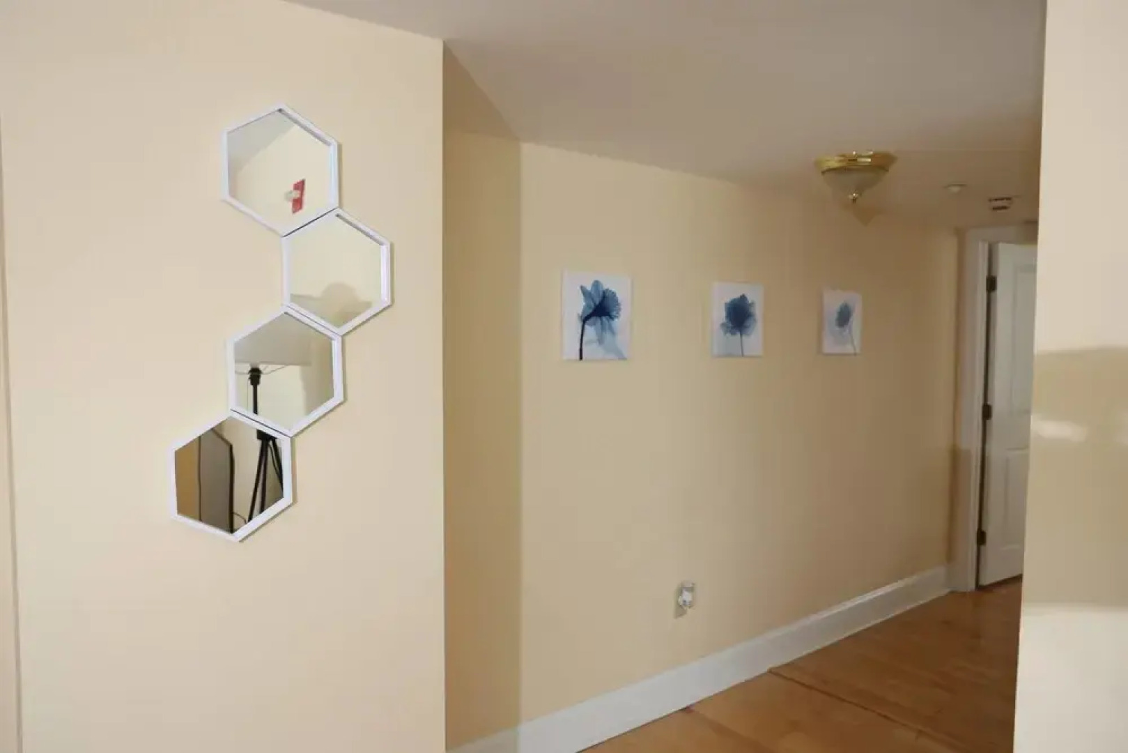 Cozy Off Campus Stay Near Everything