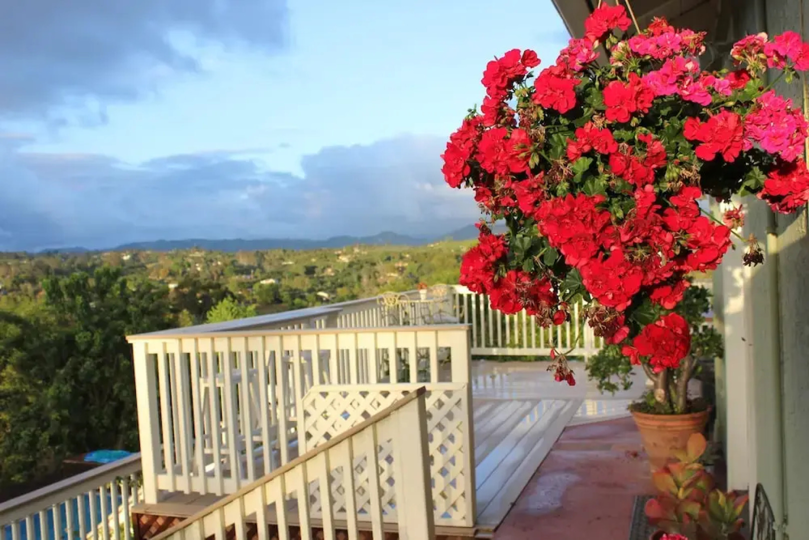 Sandra D's Country Guest House