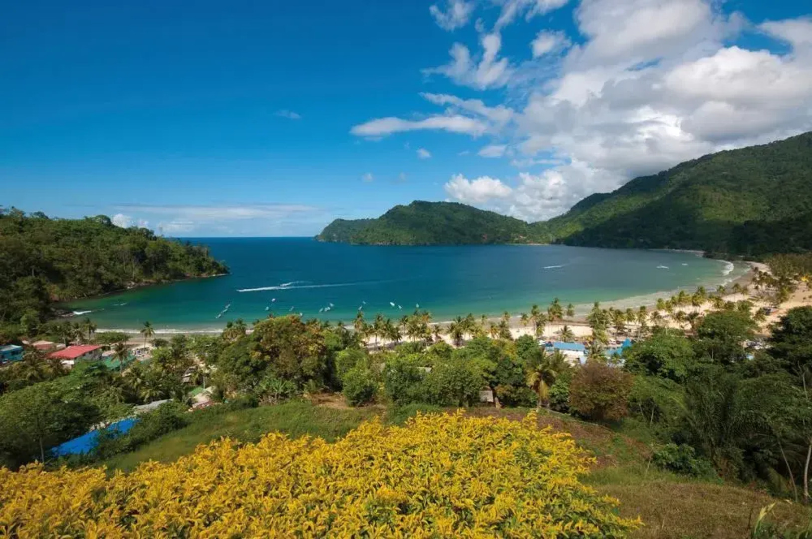 The Cannons of Trinidad and Tobago, W.I. - Arima