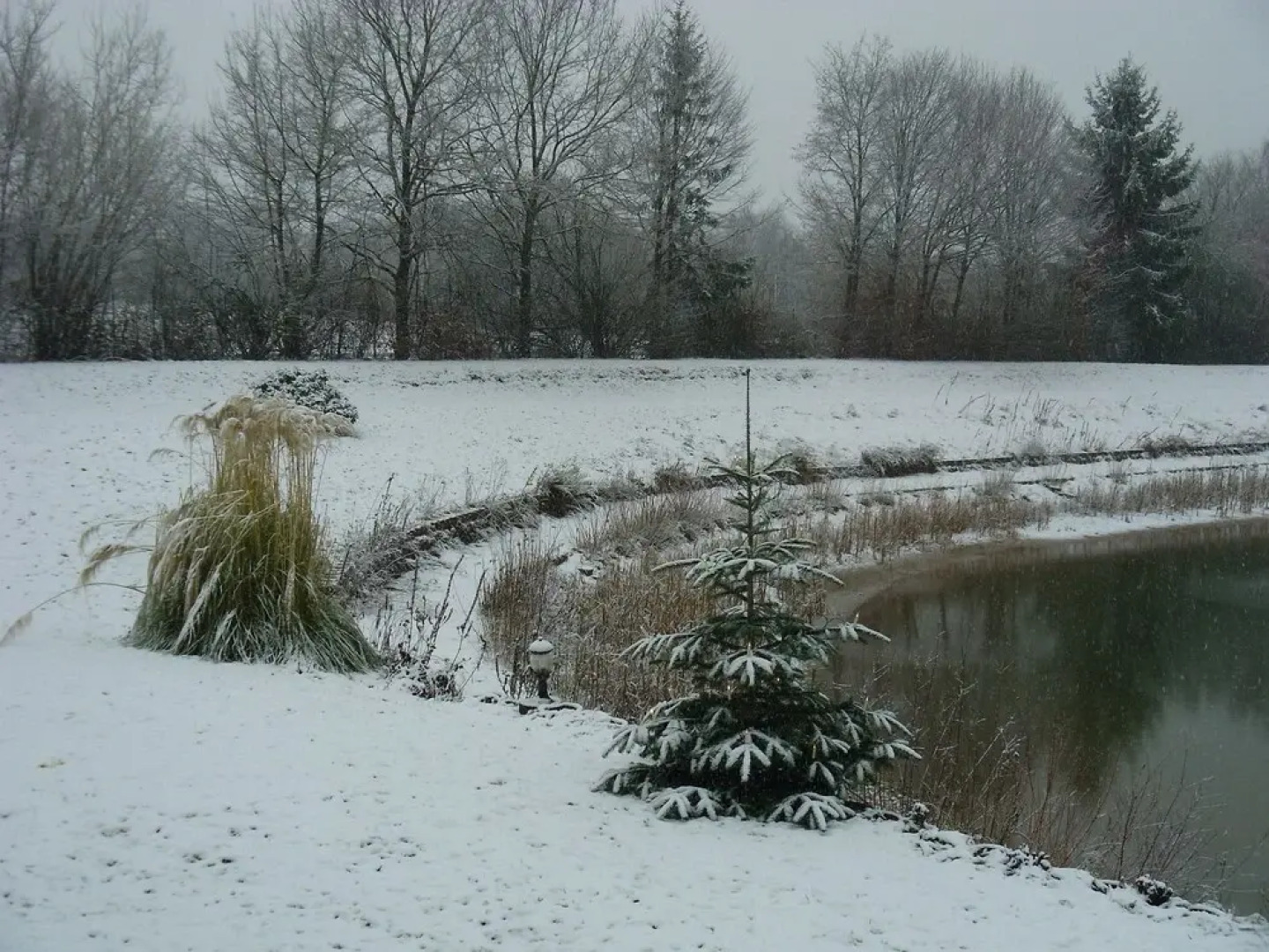 Apartment Straßbourg - Europapark