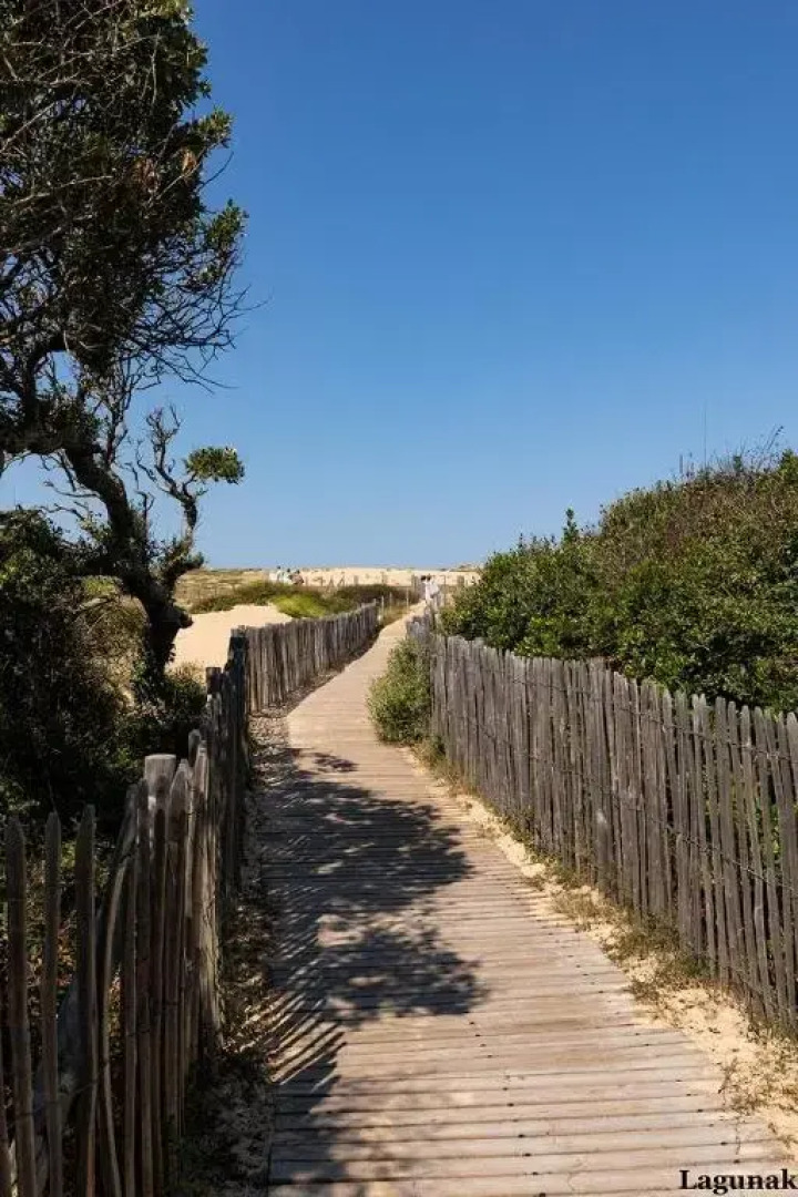 Landaise le lagunak avec piscine chauffée à 900 M de la plage