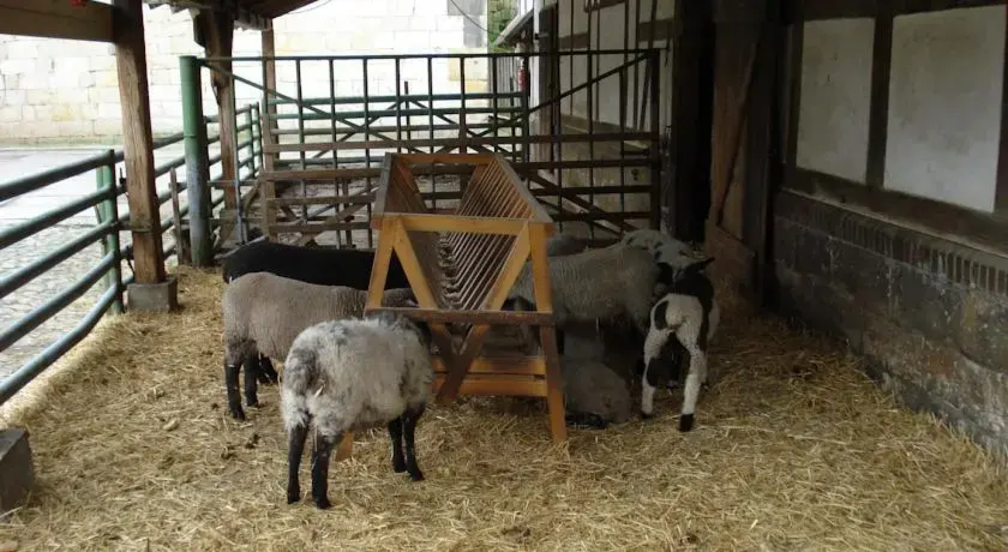 Landhotel Schäferhof