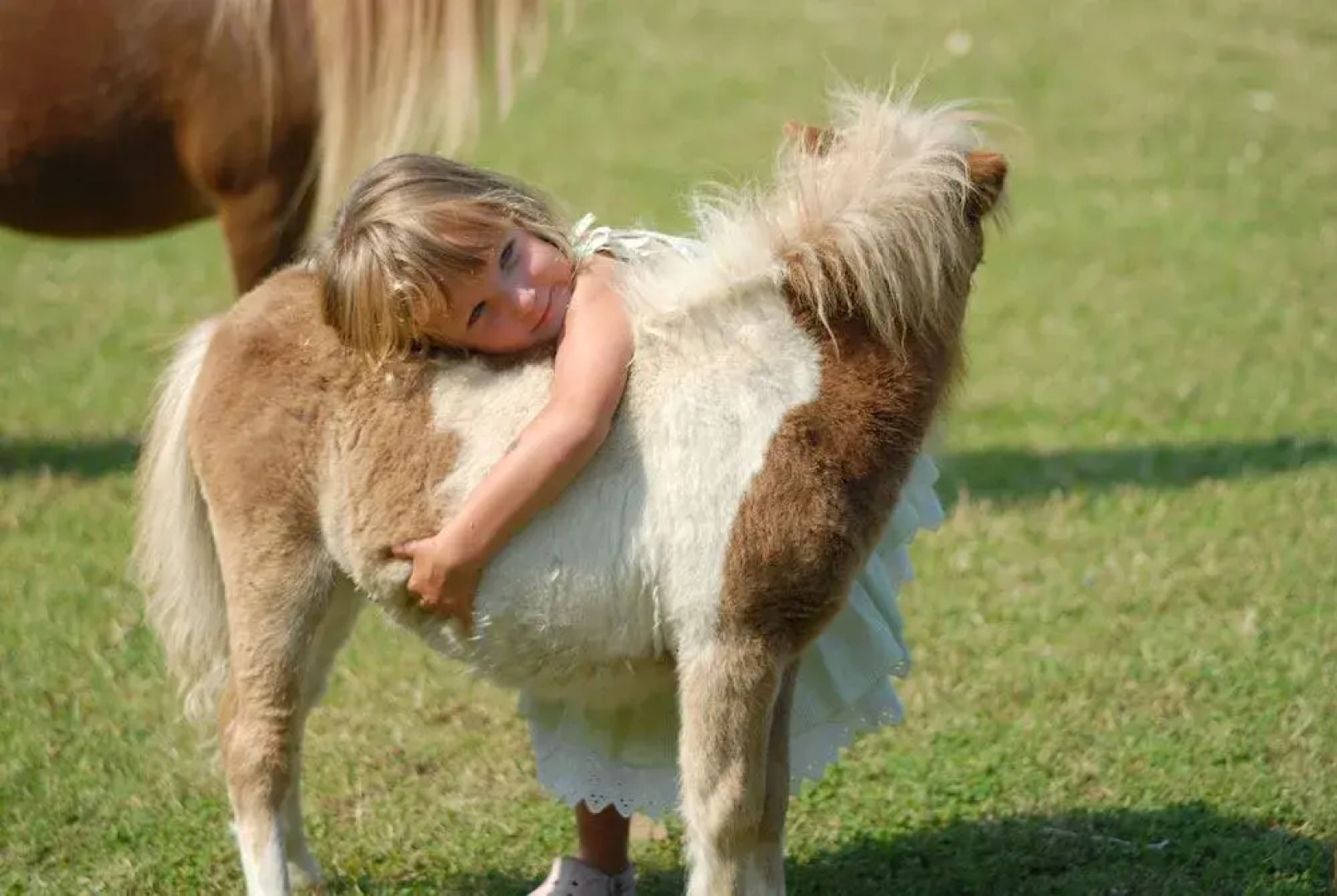 Arbatax Park Resort - Cottage