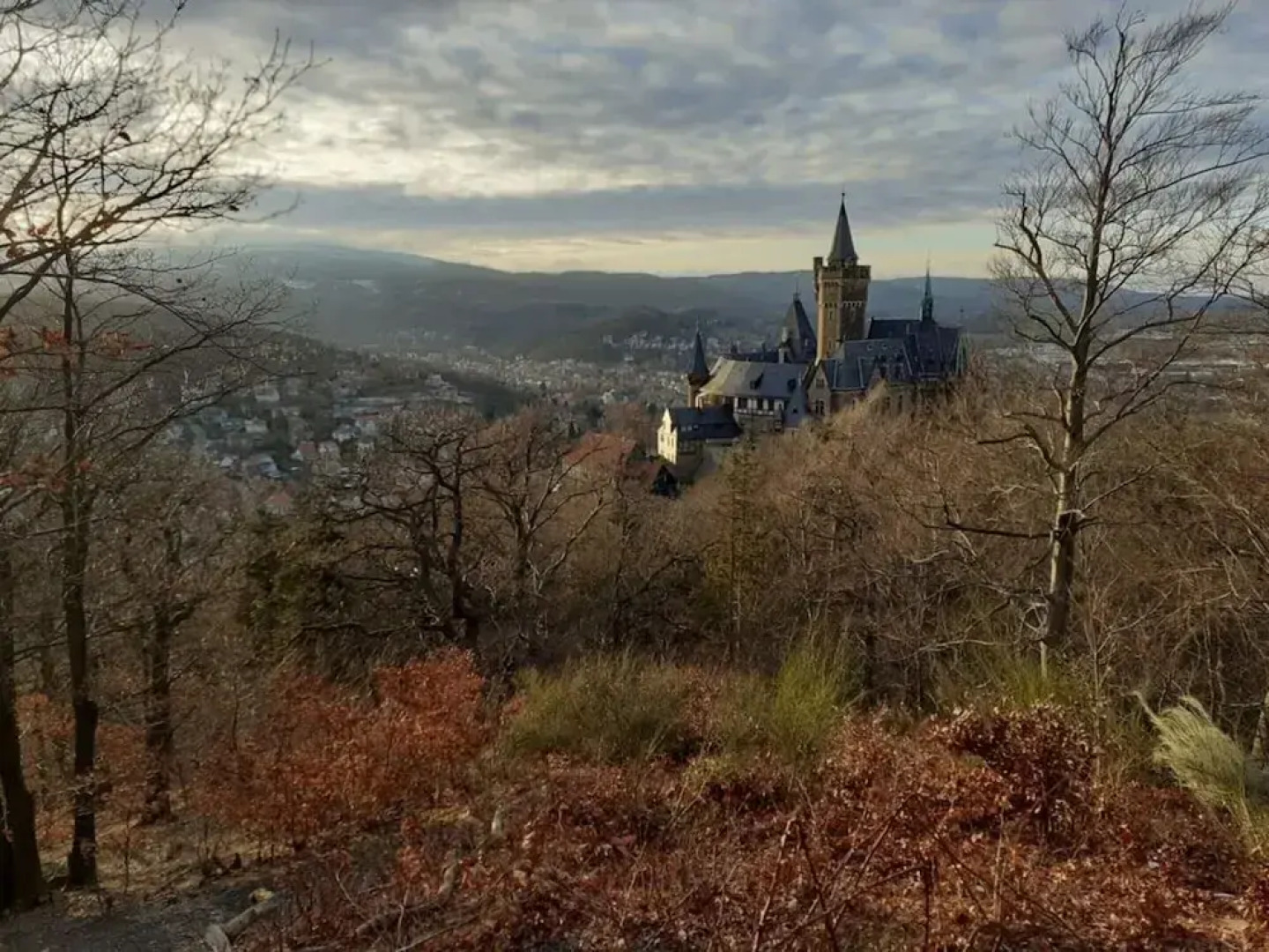 Holiday Home in the Large Garden