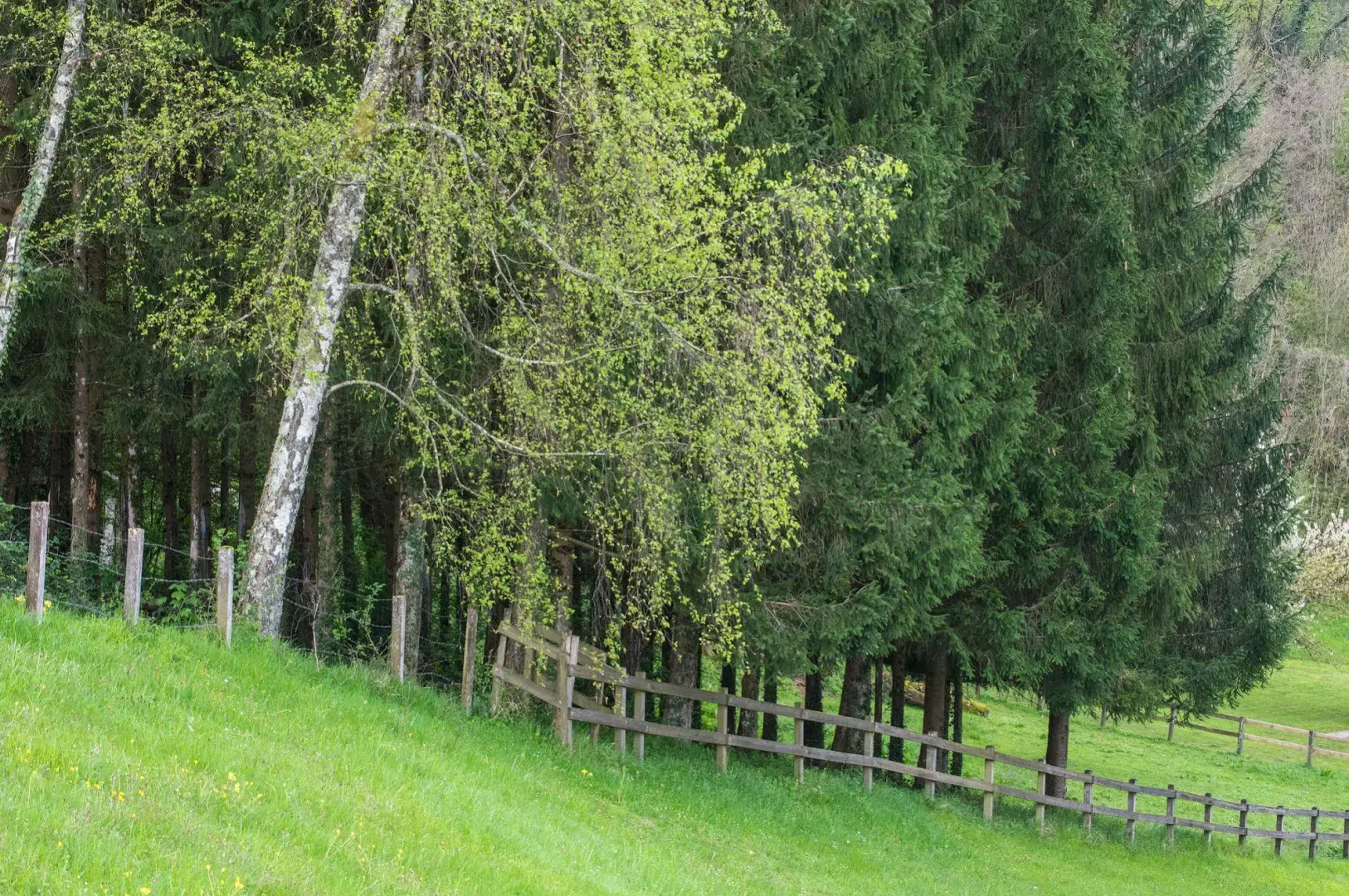 Domaine du Revermont