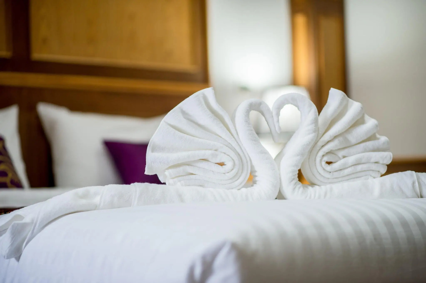 Thatphanom View Hotel