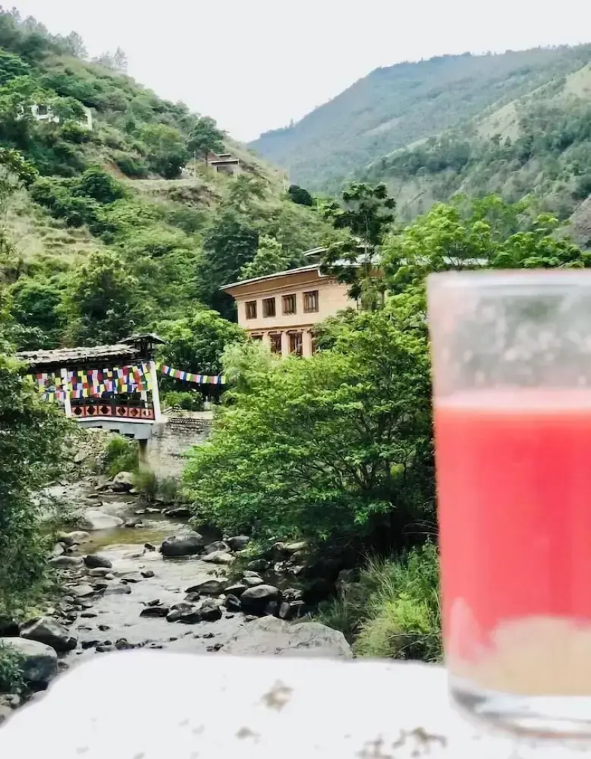 Punakha Stream Resort