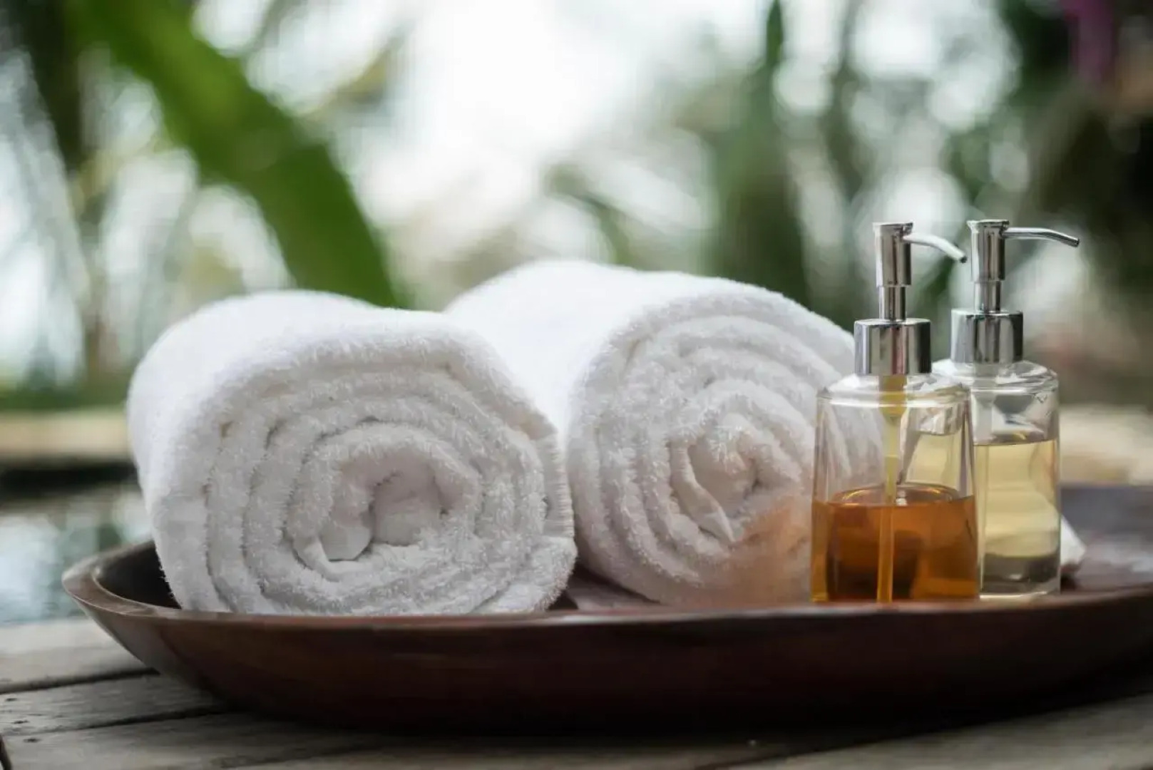 The Resort at Isla Palenque