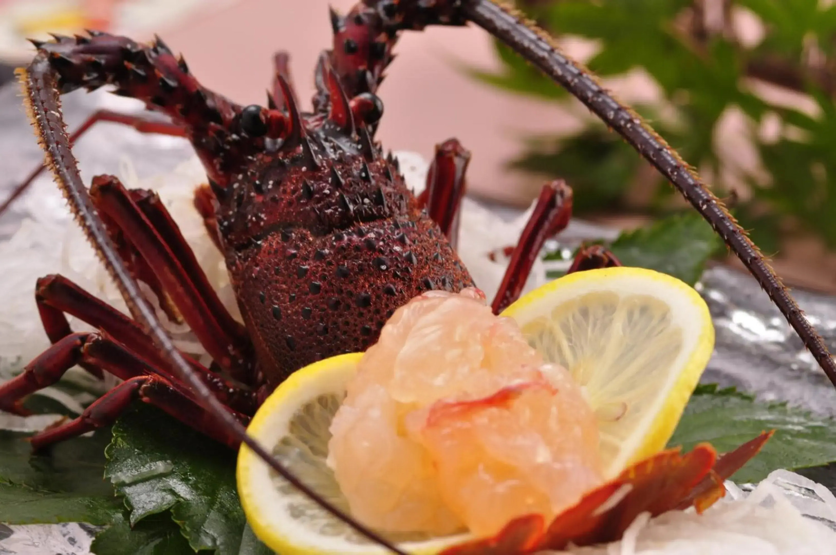 Umiusagi the annex of Senoumi