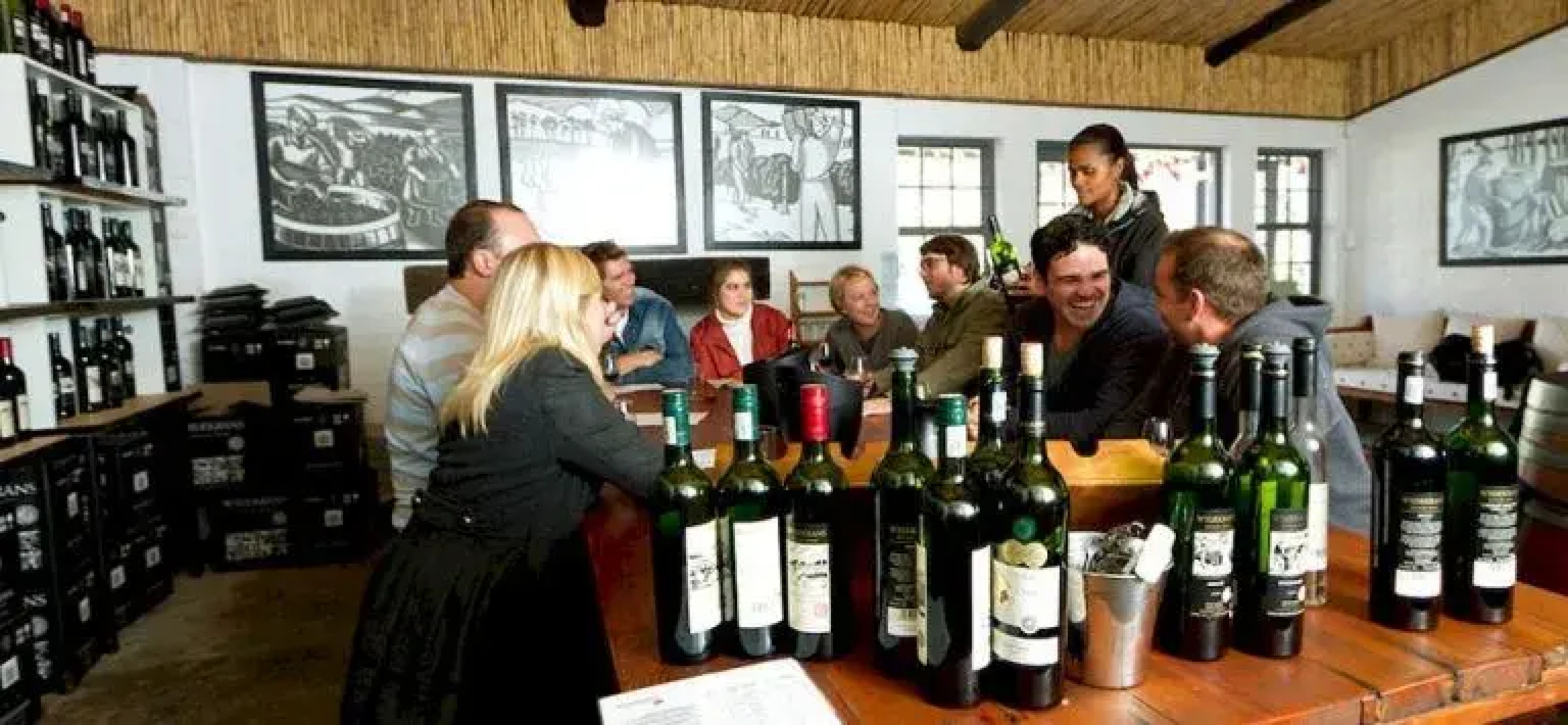 Endless Vineyards at Wildekrans Wine Estate