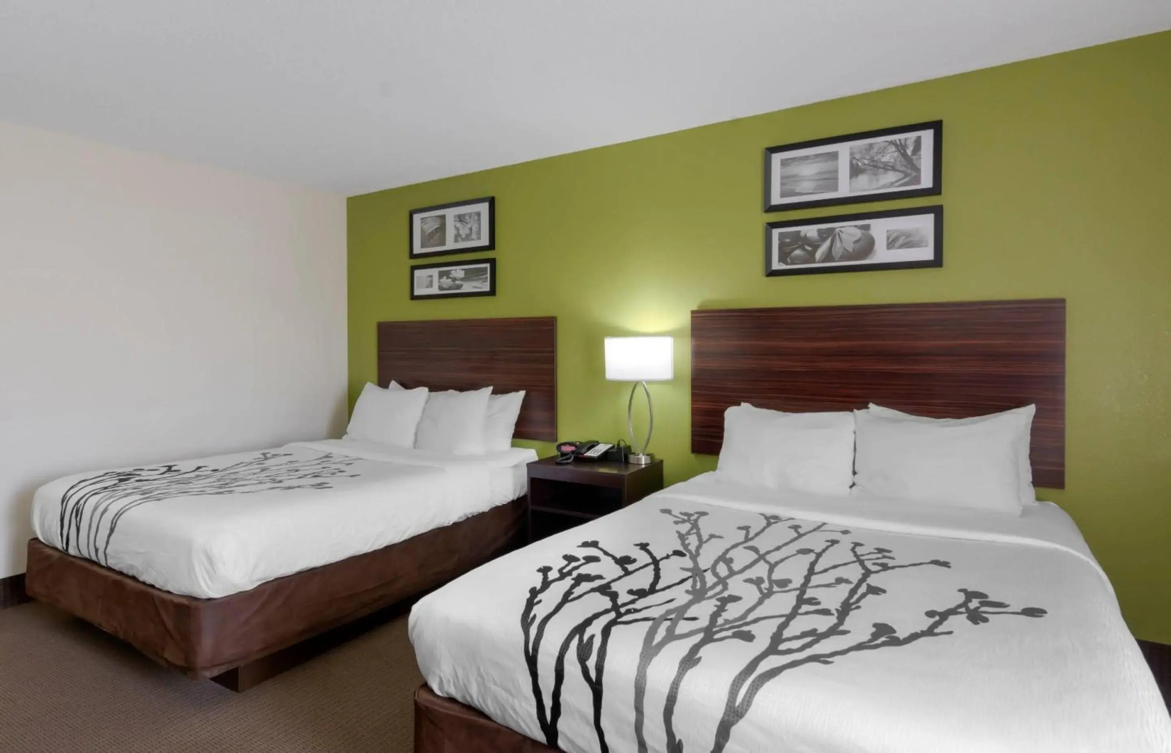 Sleep Inn & Suites Prince George near Fort Lee