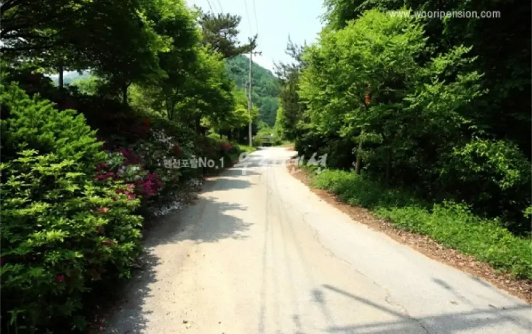 Yangpyeong Pension Forest