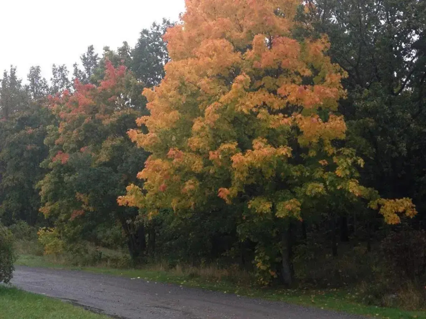 Vandrarhemmet Hvilan Norrtälje