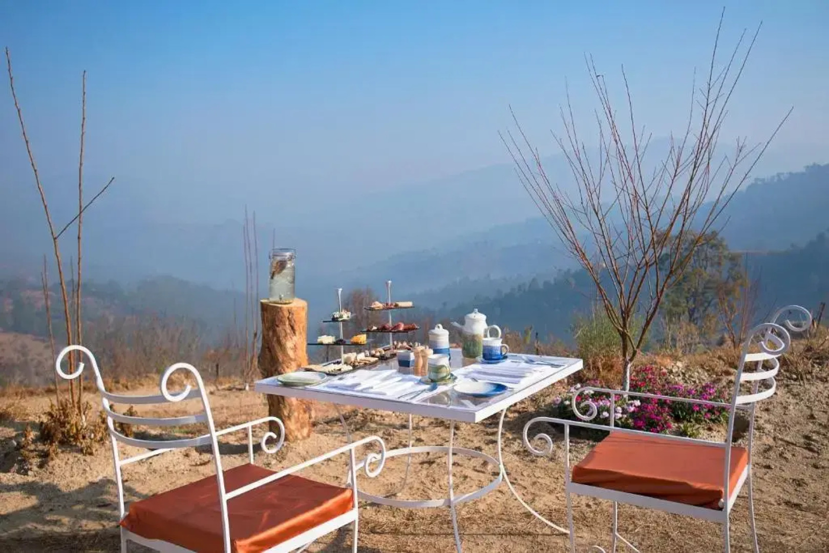 The Orchard at Peora Estates