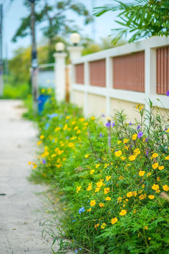 Sweet Dreams Guest House