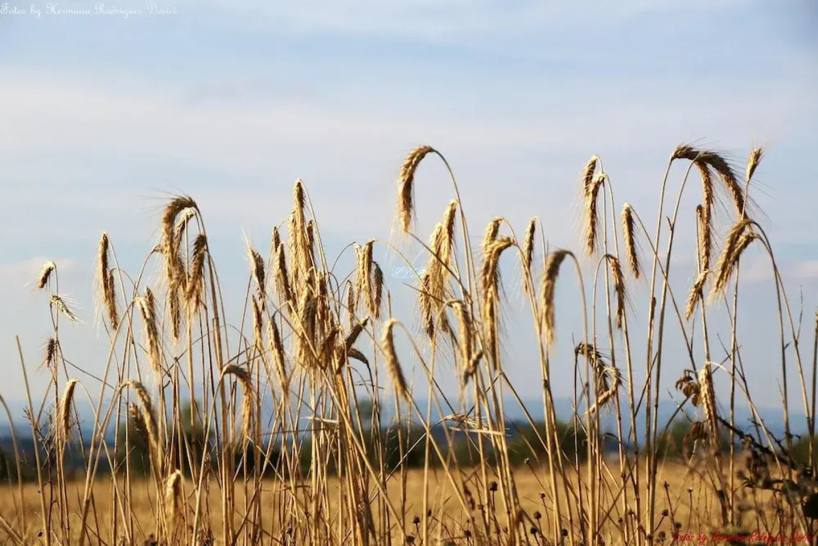 House With 2 Bedrooms in Faílde, With Enclosed Garden Near the Beach