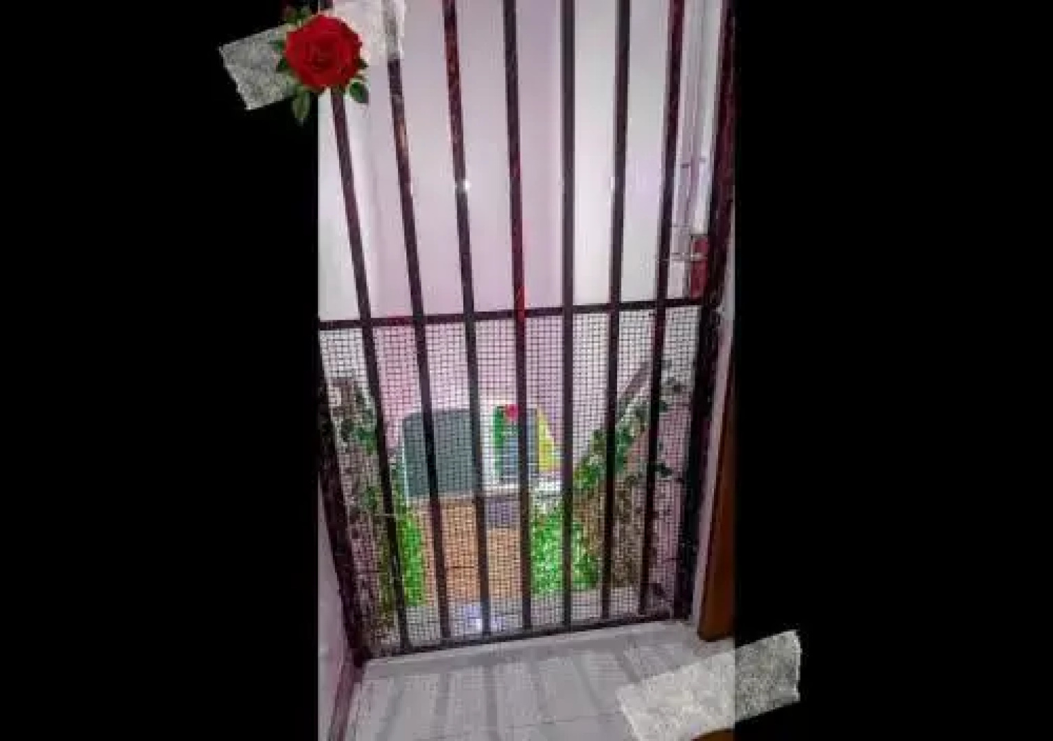 Homestay Razin Gong Badak