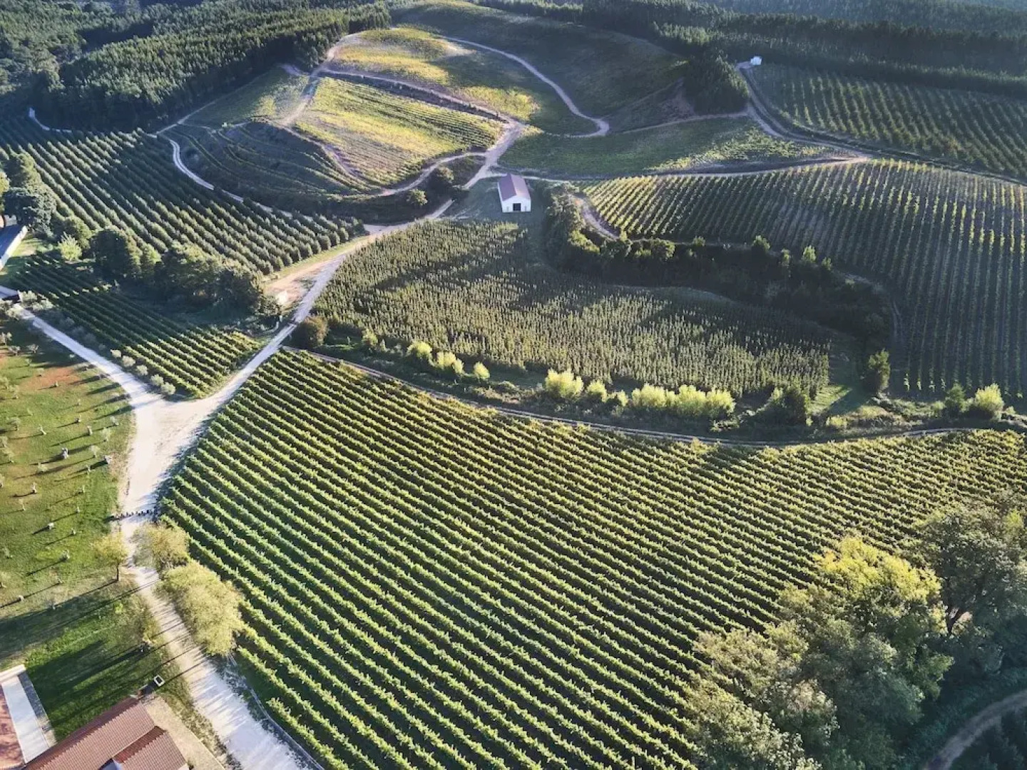 Quinta do Porto Nogueira