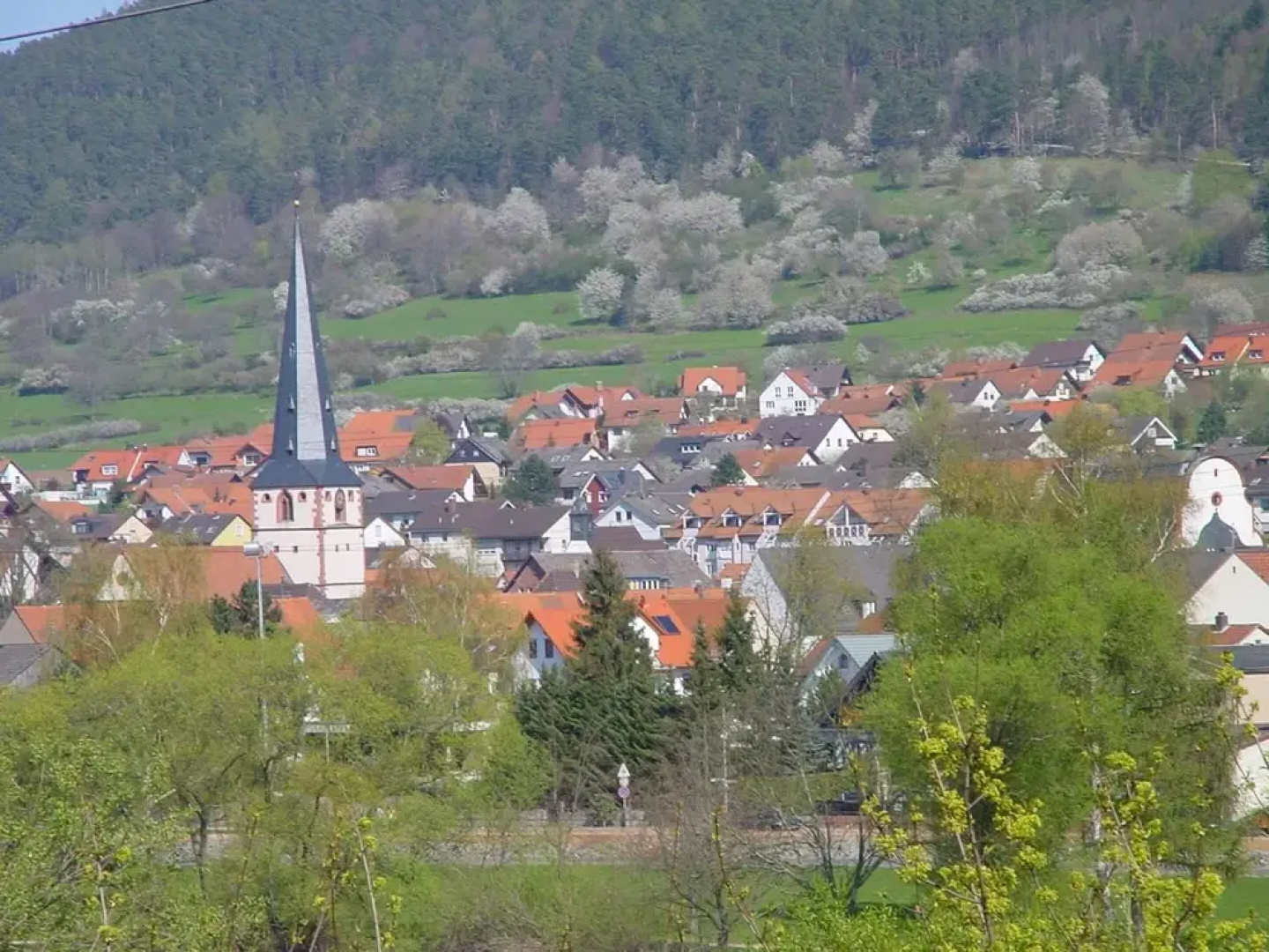 Ferienwohnung Erfterassen 1