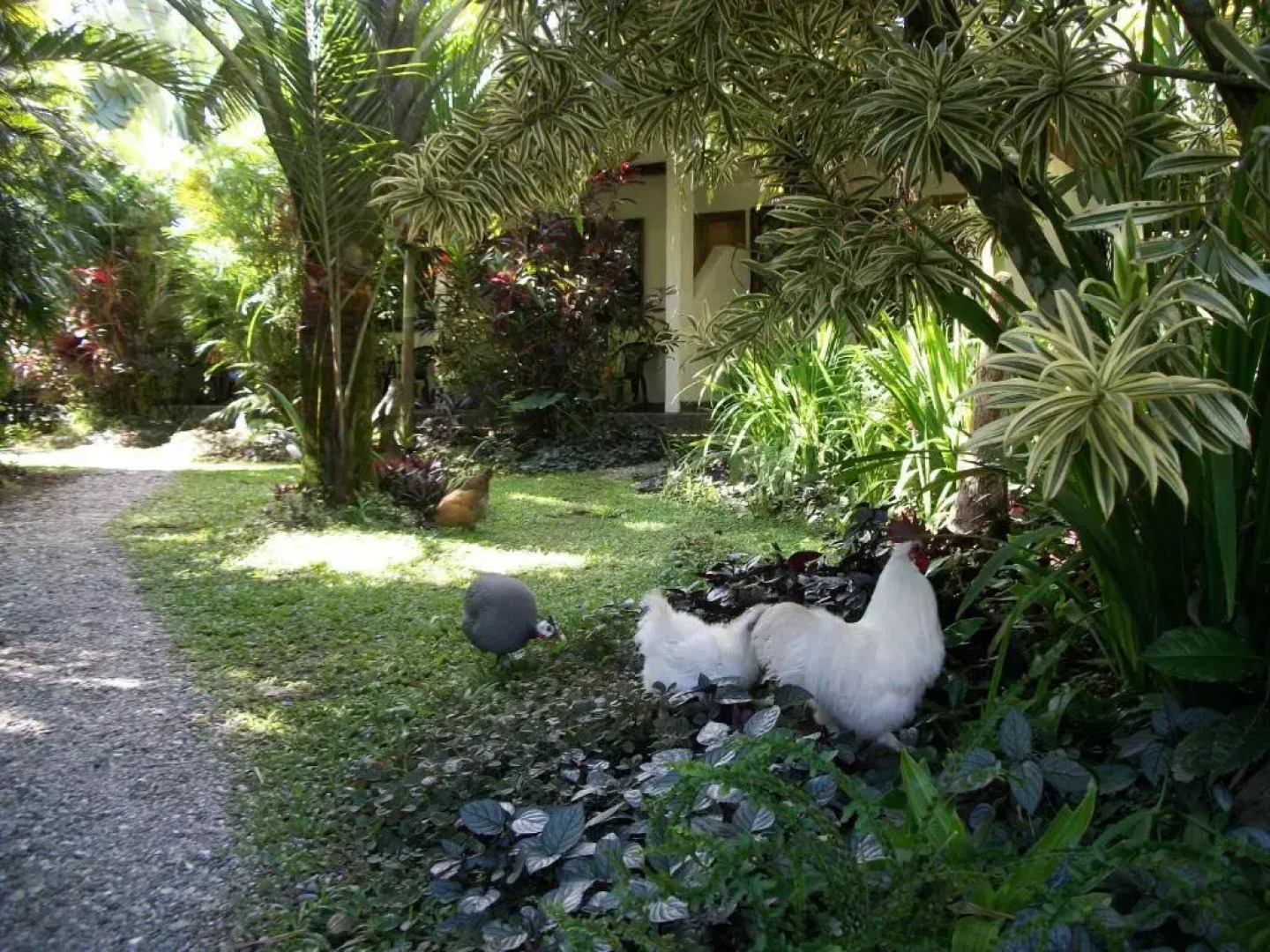 Piscina Natural on the Sea