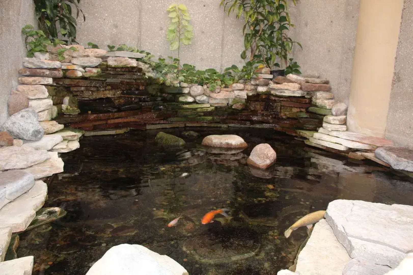 Clarion Hotel Muscatine