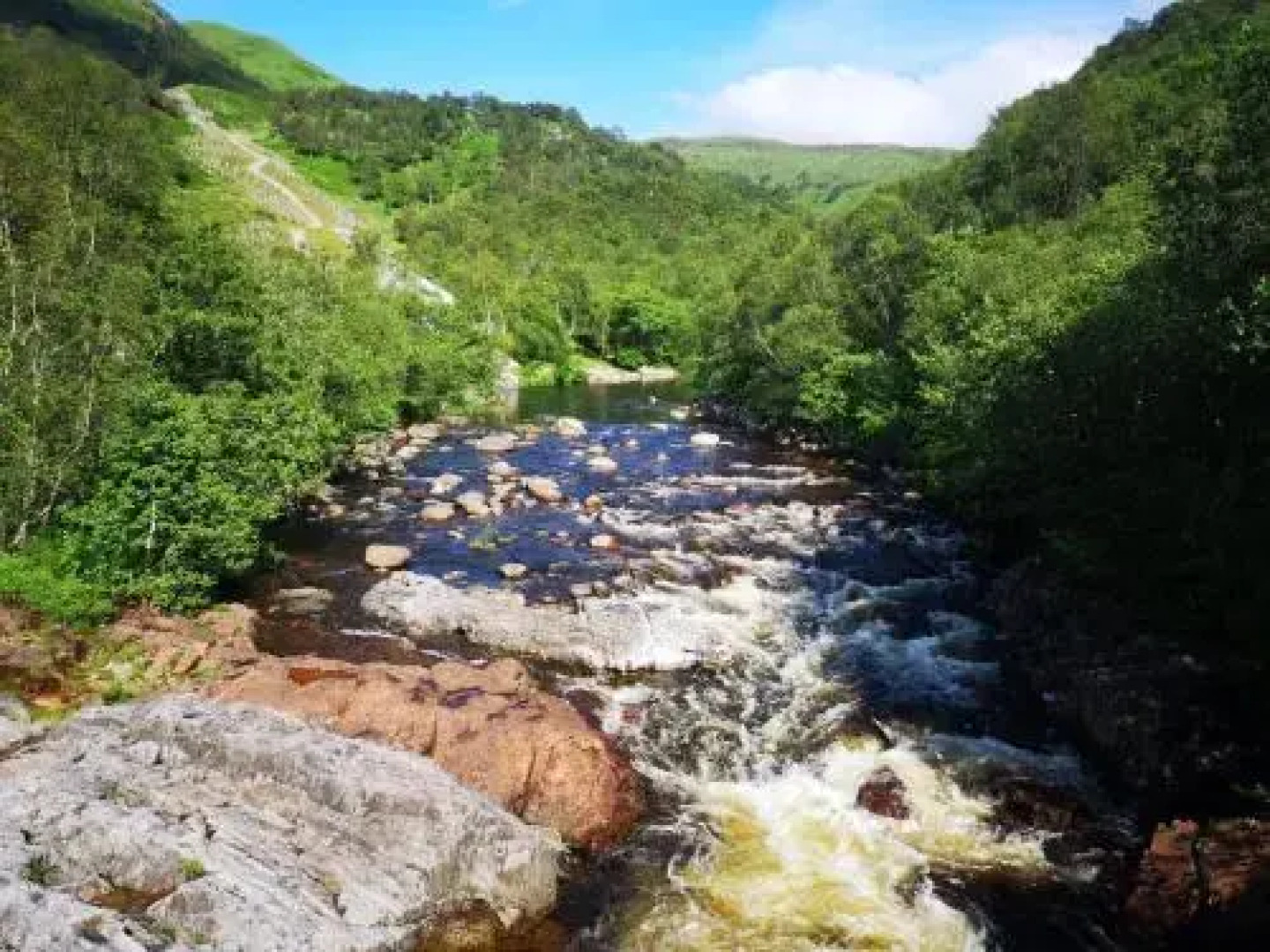 Forest View Guest House