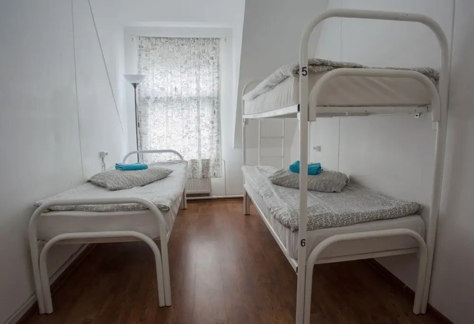 Hostel Petya and the Wolf - V.O.